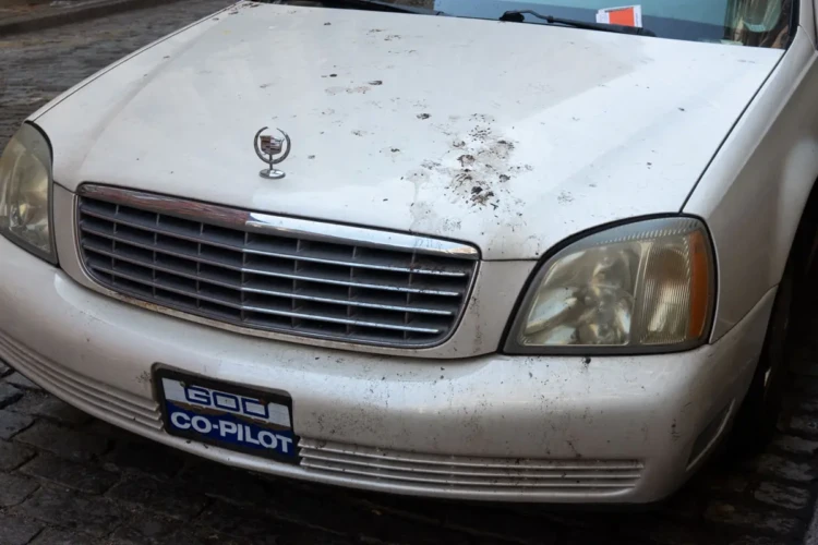God, Co-Pilot, & Bird Poop, Greene Street, 2019