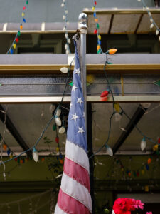 American Flag & Christmas Lights, Sunset Park, 2021