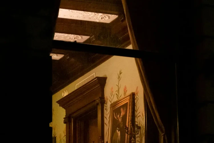 Moose Painting, Prospect Park West, Brooklyn