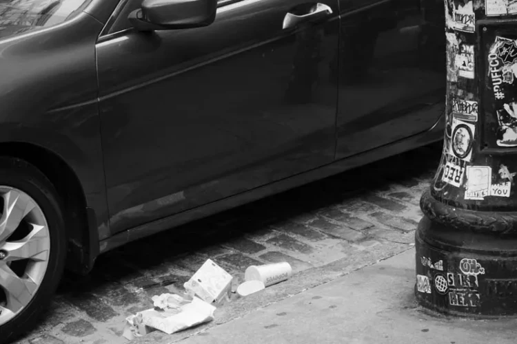 Dog and Man, Greene Street, 2021