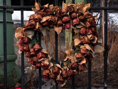 Flowers Under the Elevated Highway, Sunset Park, 2022