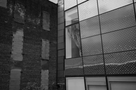 Cactus, Highline, 2022