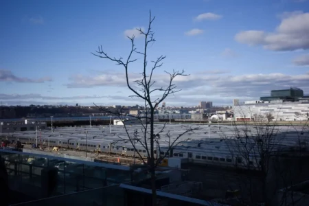 Tree & Trainyard, Hudson Yards, 2023