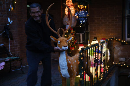 Reindeer, Sunset Park, 2023