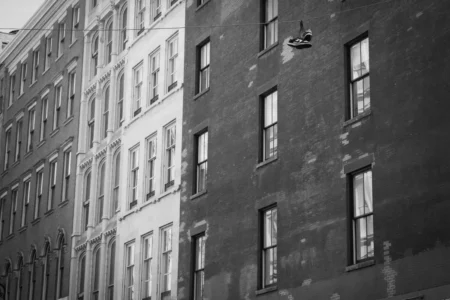 Pandas on Lamppost, SoHo, 2024