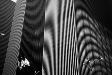6th Avenue in Dappled Light, 2024