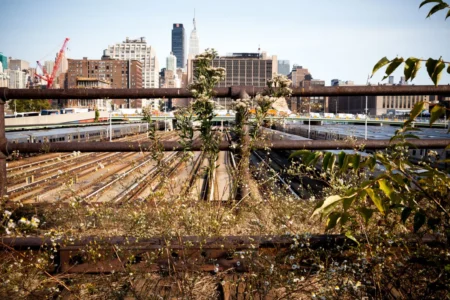 Old High Line and Pre-Hudson Yards, 2012