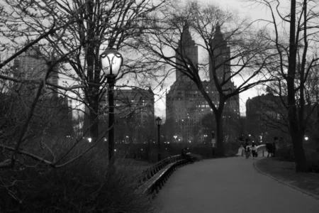 Lamppost & San Remo, 2017