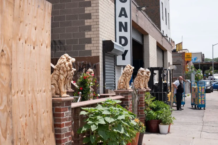 Candy Manufacturor & Lion Home, Sunset Park, 2021