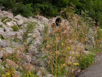 Sitting by the Water, Bush Terminal Park, 2021