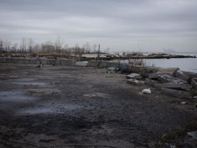 Brooklyn Waterfront and Goose, Sunset Park, 2021