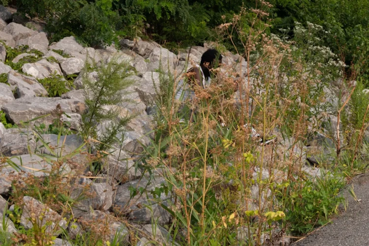 Sitting by the Water, Bush Terminal Park, 2021