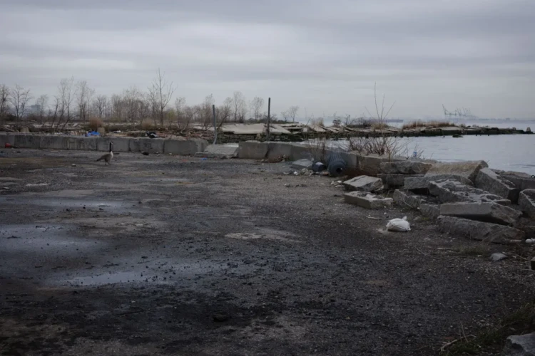 Brooklyn Waterfront and Goose, Sunset Park, 2021