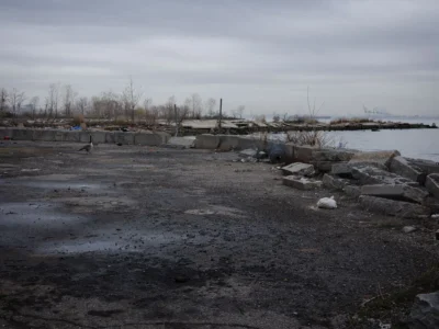 Brooklyn Waterfront and Goose, Sunset Park, 2021