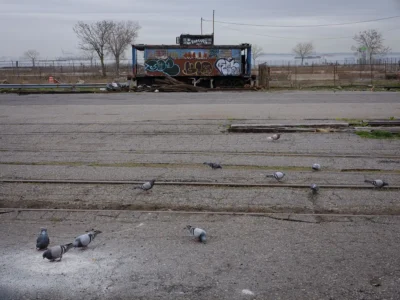 Caboose, Sunset Park, 2021