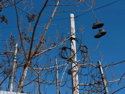 Shoes on Tree, Sunset Park, 2019