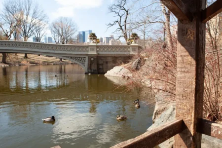 Scratches, Bow Bridge, 2013