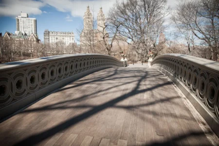Bow Bridge & Tree Shadow, Central Park, 2013