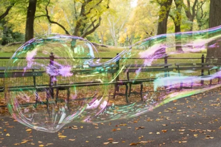 Bubble & Benches, Central Park, 2015